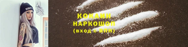 шишки Верея