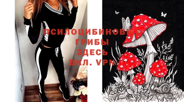 кокс Богородицк