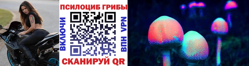 МЕГА зеркало  Кирсанов  Псилоцибиновые грибы Psilocybine cubensis 