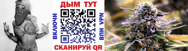 Каннабис OG Kush  Кирсанов 